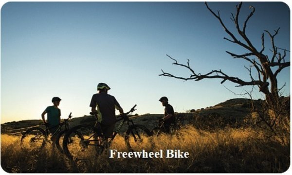 Freewheel Bike Gift Card Freewheel Bike Gift Card